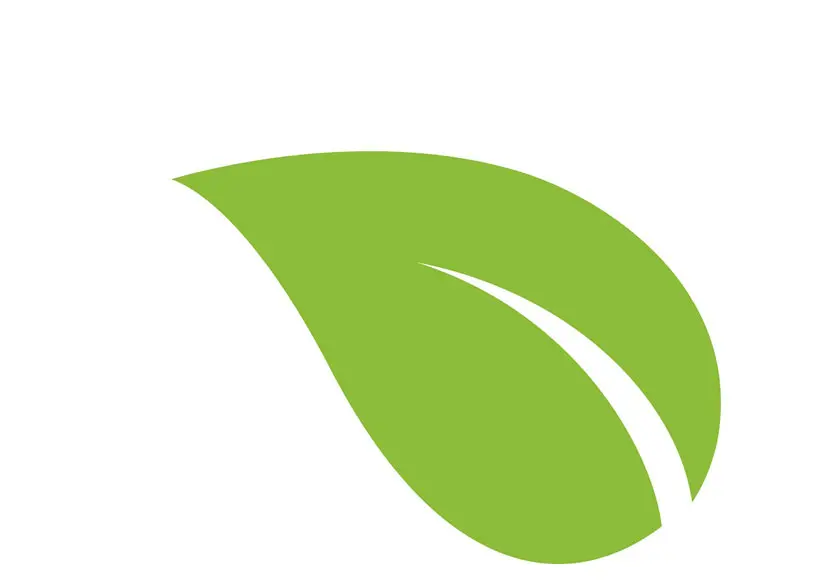 blatt-gross-remede-otc-sortiment-saner