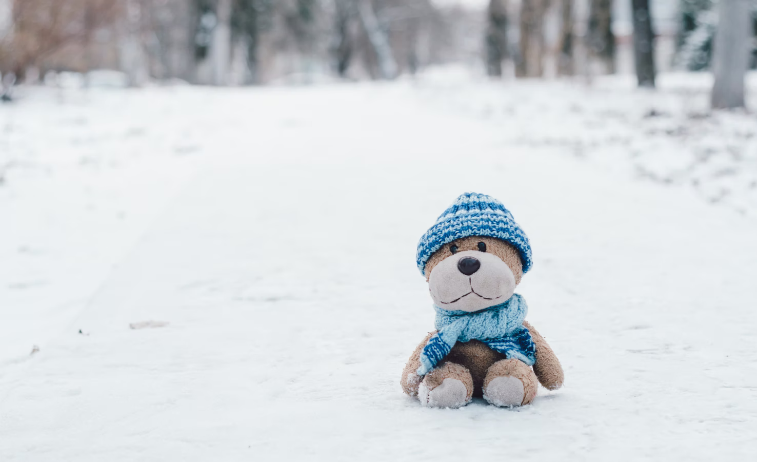 Kinder Erkältung Teddibär